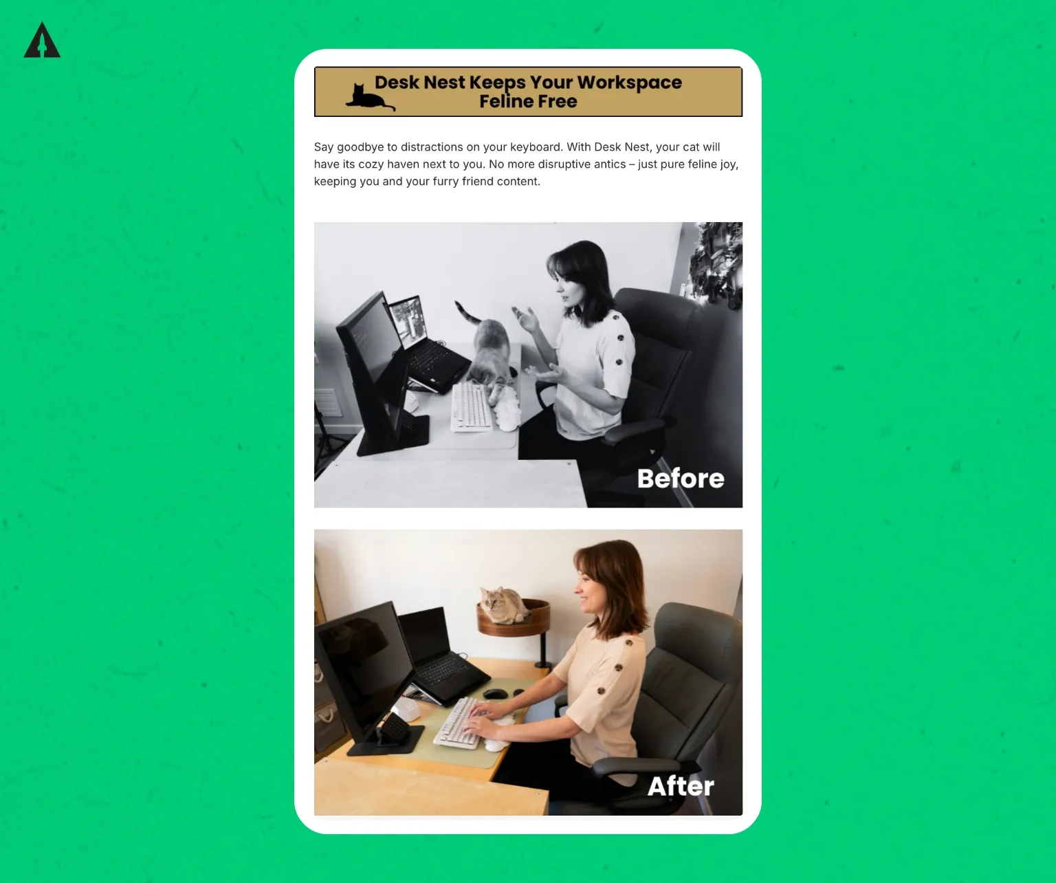 Desk Next Copywriting & Page Design