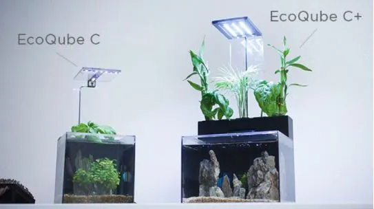ECOQUBE C+