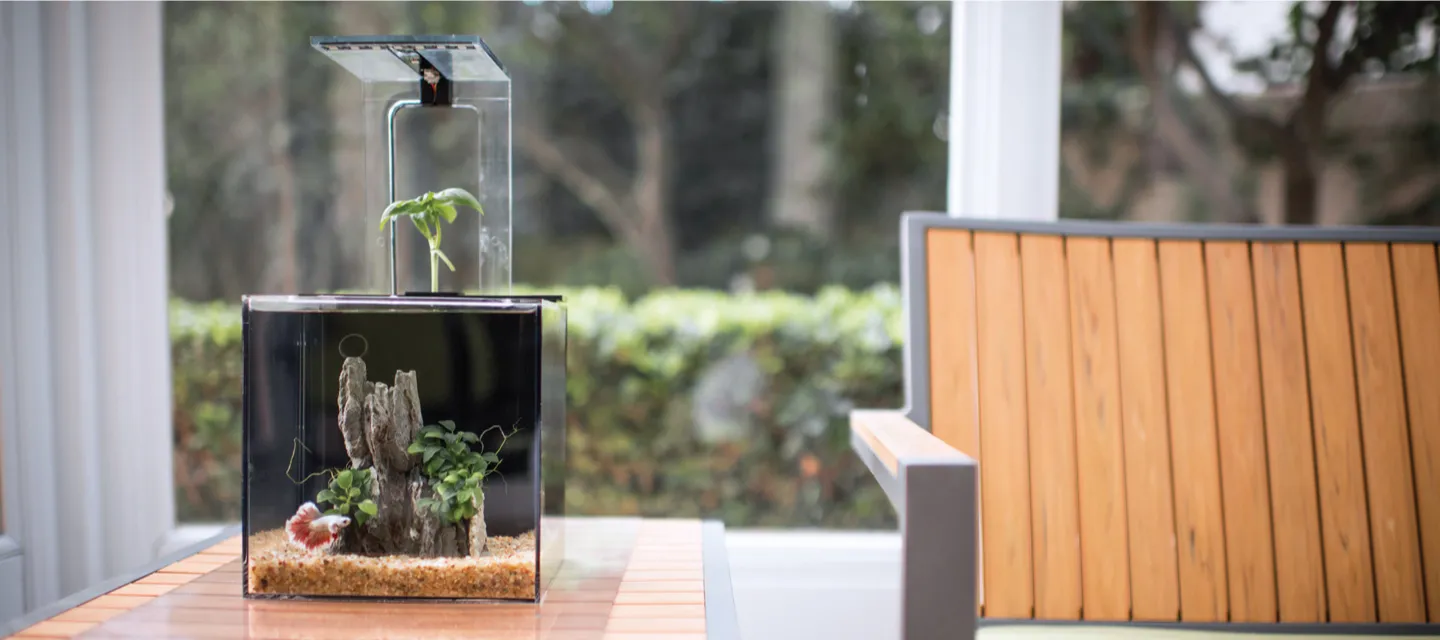ECOQUBE C