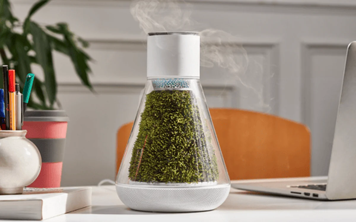 OASIS PLANTER