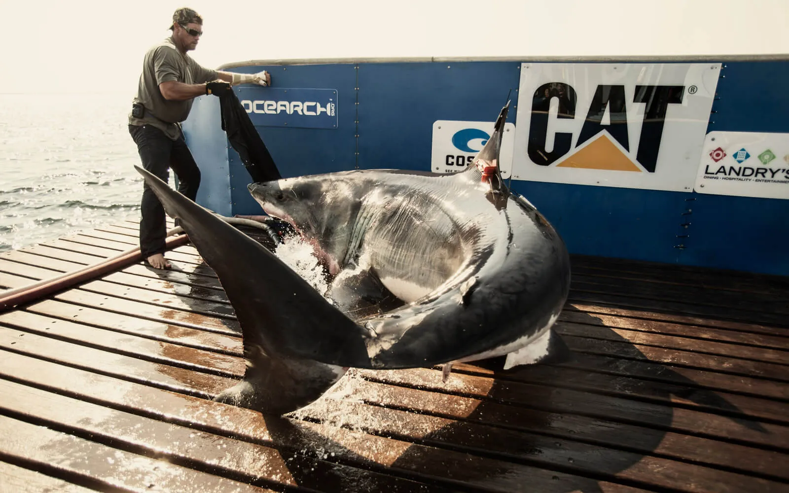 OCEARCH