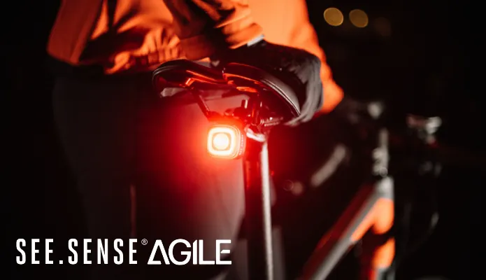 SEE SENSE AGILE