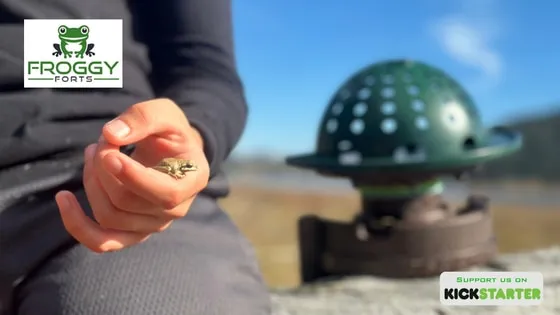 THE FROG FORTRESS