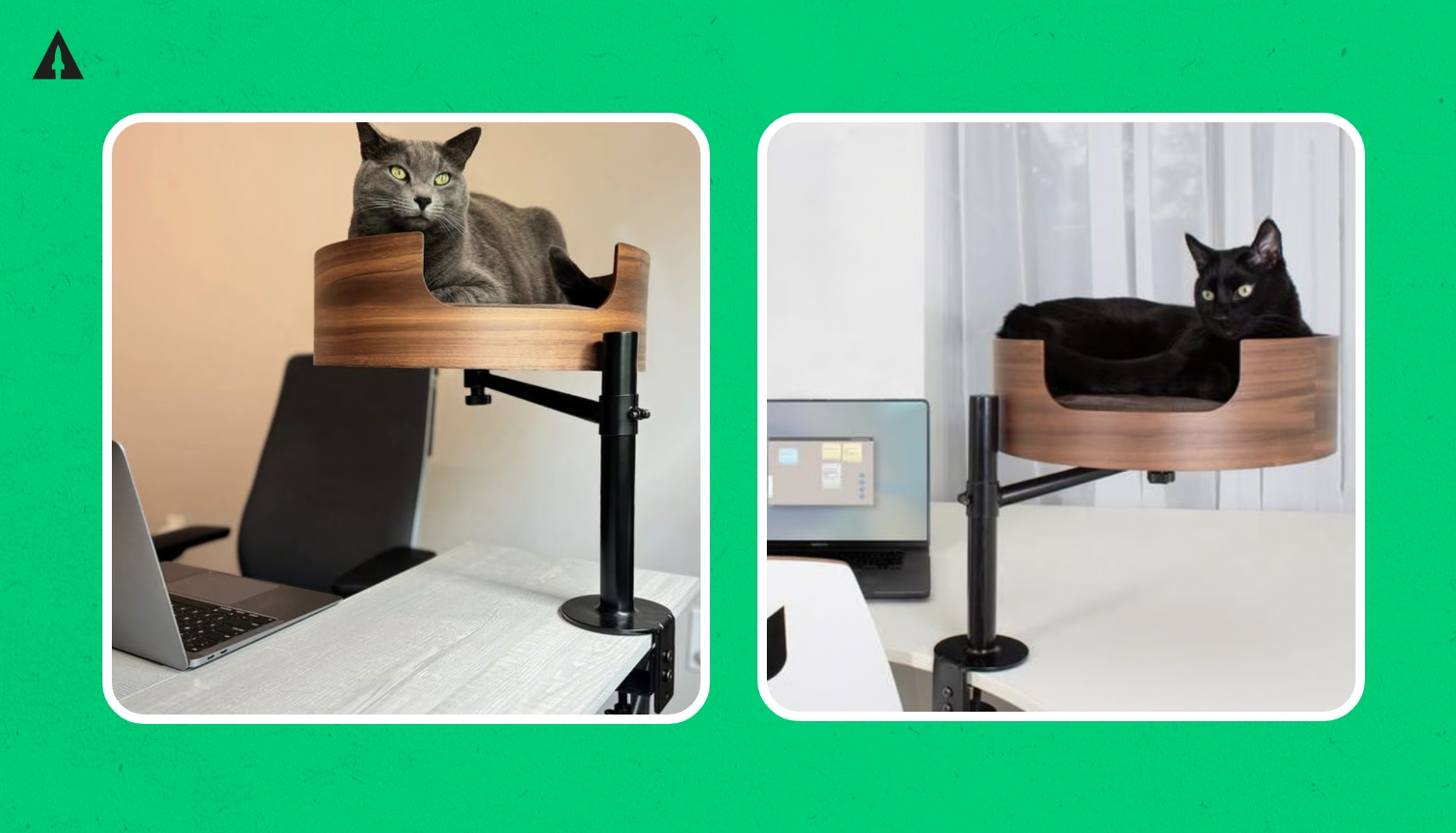 Desk Nest Location Shots