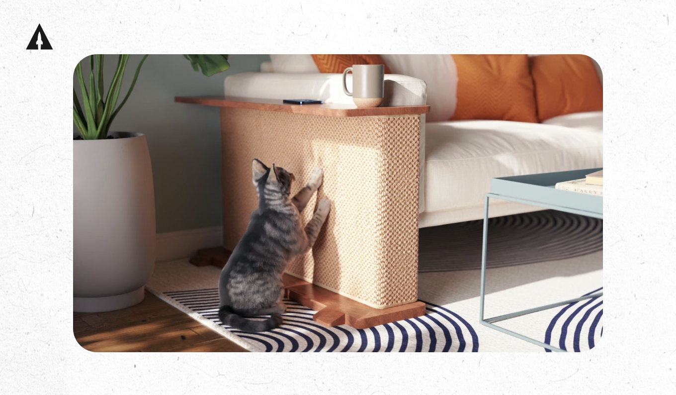 How to Launch a Successful Kickstarter_Cat